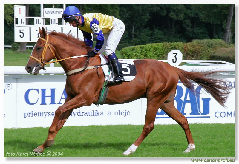 Bratislava - 26. septembra 2004