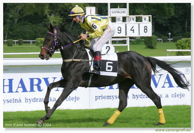 Bratislava - 26. septembra 2004