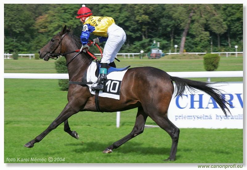 Bratislava - 26. septembra 2004
