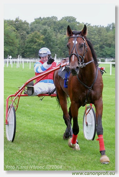 Bratislava - 26. septembra 2004