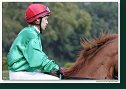 Handicap Sebastiana