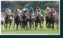 Handicap Sebastiana