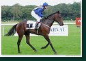 Handicap Sebastiana