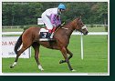 Handicap Sebastiana