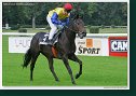 Handicap Sebastiana