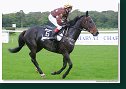 Handicap Sebastiana