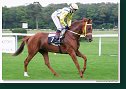 Handicap Sebastiana