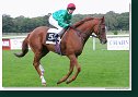 Handicap Sebastiana