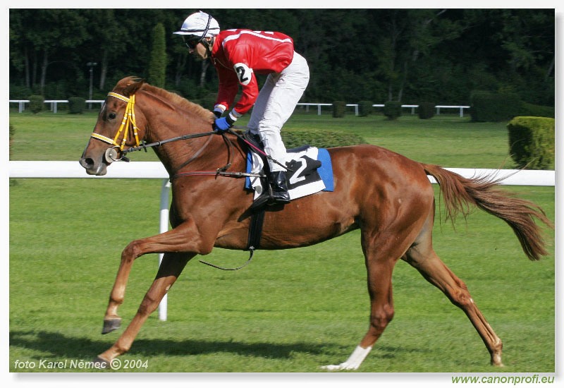 Bratislava - 03. októbra 2004