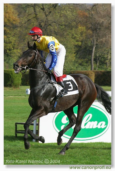 Bratislava - 30. októbra 2004