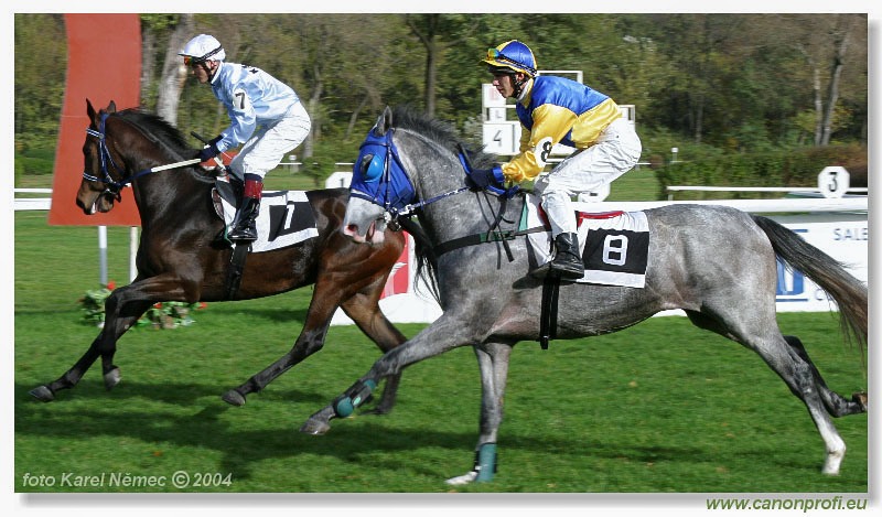 Bratislava - 30. októbra 2004