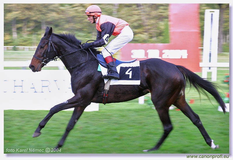 Bratislava - 30. októbra 2004
