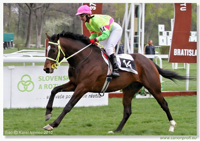 Bratislava - 11. aprla 2010 