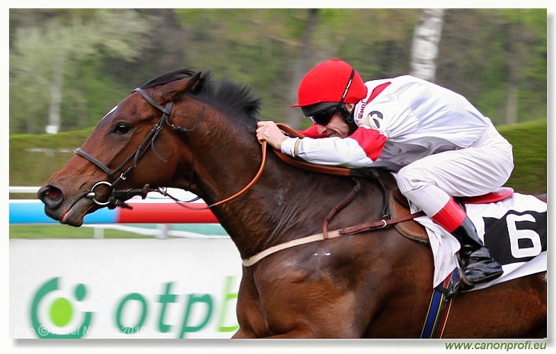 Bratislava - 18. aprla 2010 