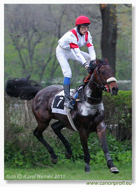 Bratislava - 18. aprla 2010 