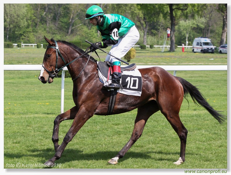 Bratislava - 25. aprla 2010 
