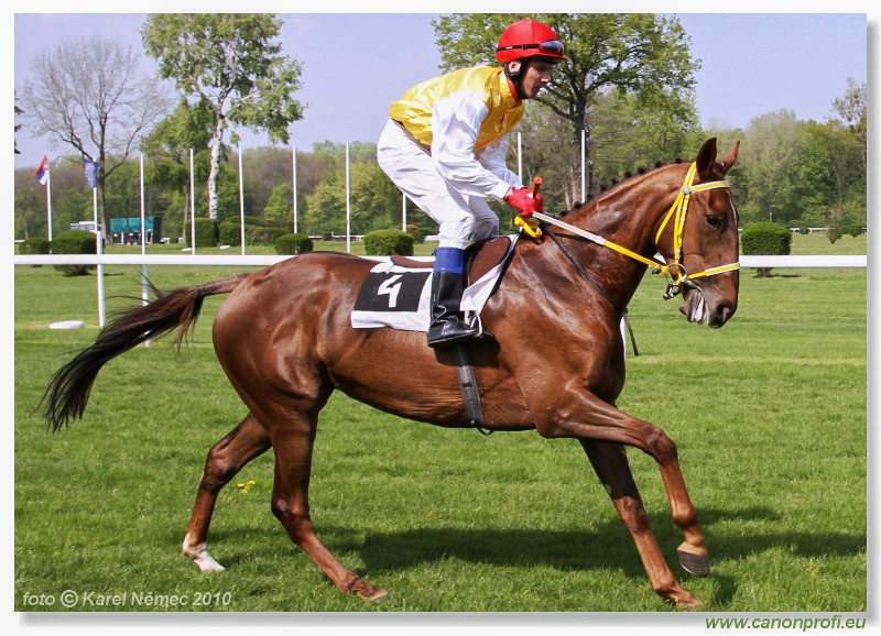 Bratislava - 25. aprla 2010 