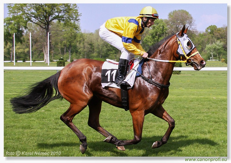 Bratislava - 25. aprla 2010 