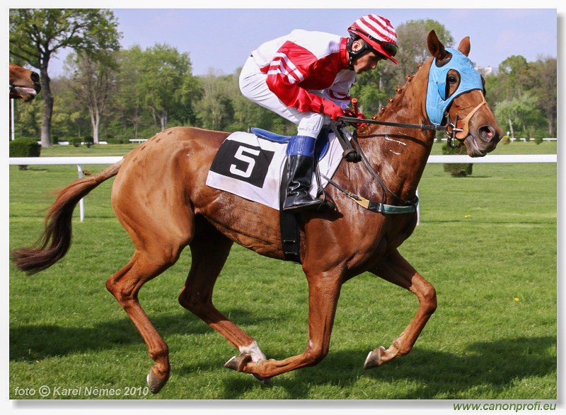 Bratislava - 25. aprla 2010 