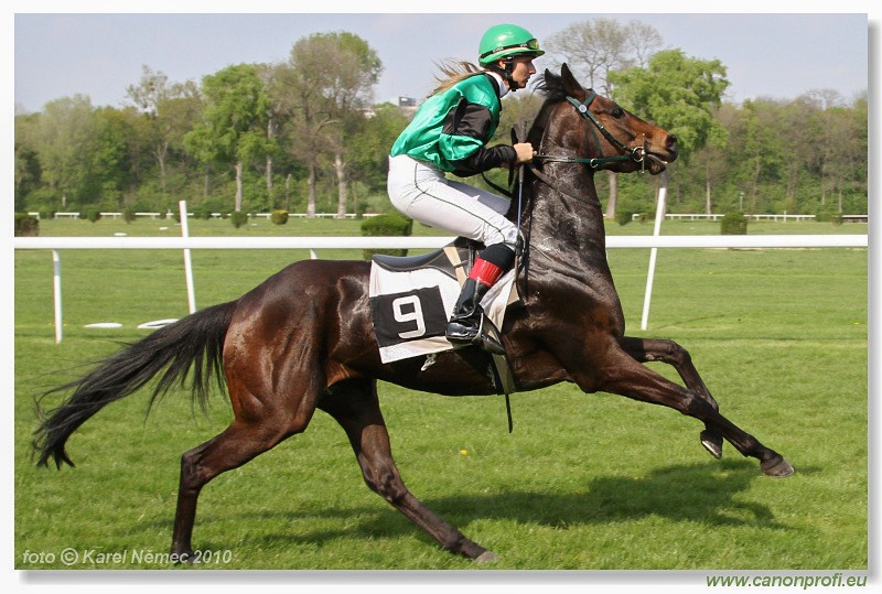 Bratislava - 25. aprla 2010 