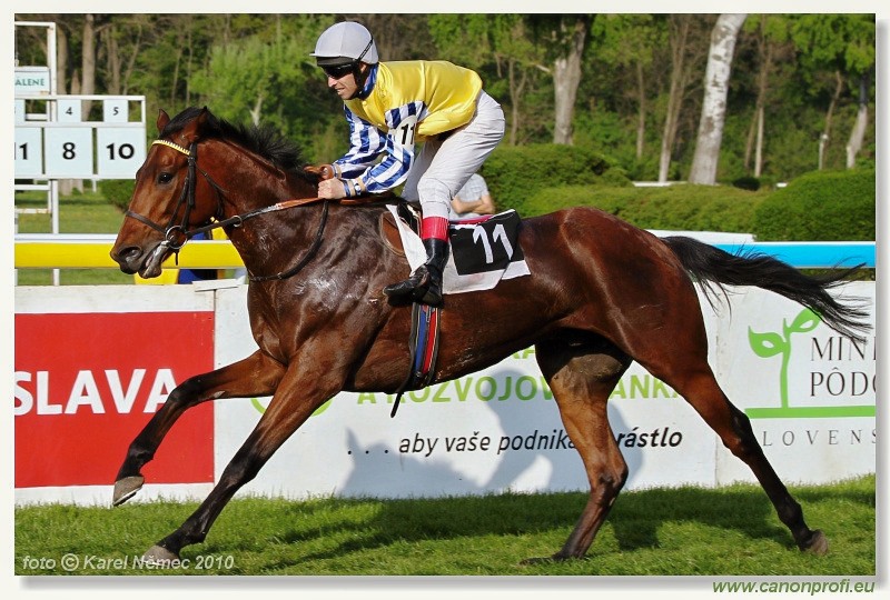 Bratislava - 25. aprla 2010 