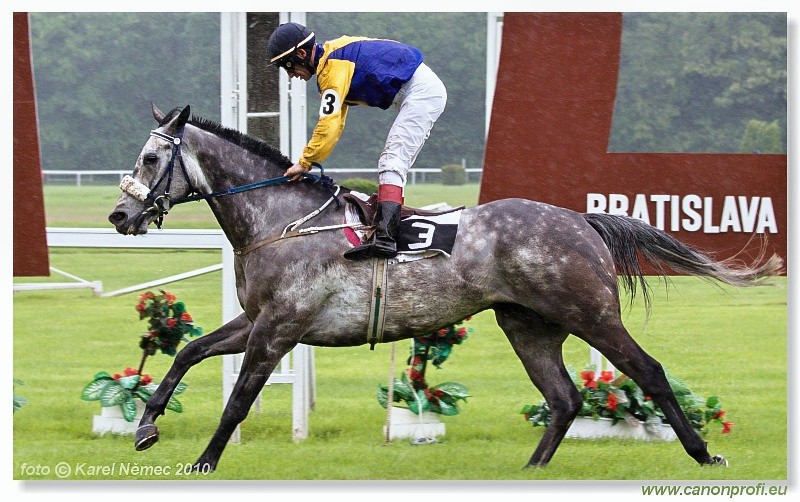 Bratislava - 16. mja 2010 