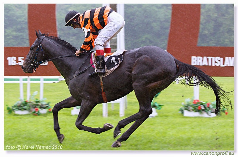 Bratislava - 16. mja 2010 