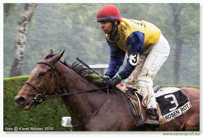 Bratislava - 16. mja 2010 