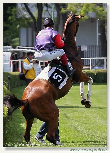 Bratislava - 06. jna 2010 