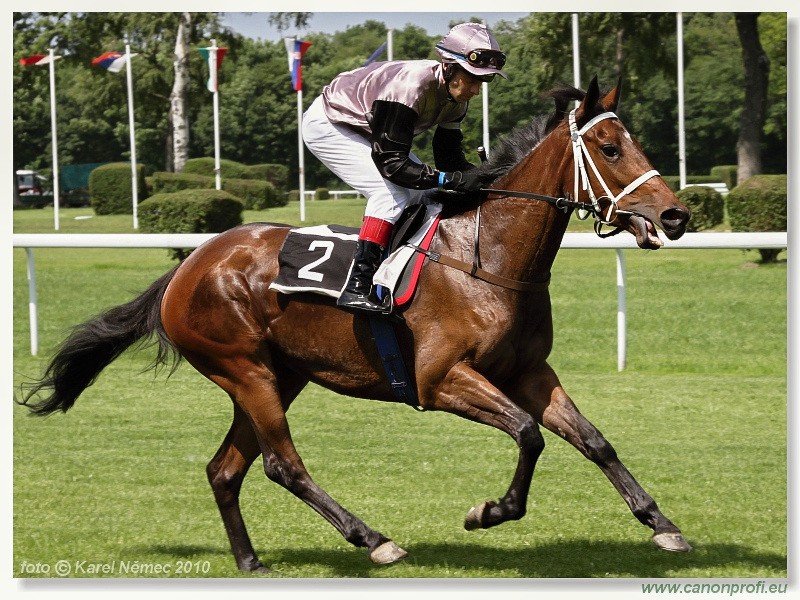 Bratislava - 06. jna 2010 