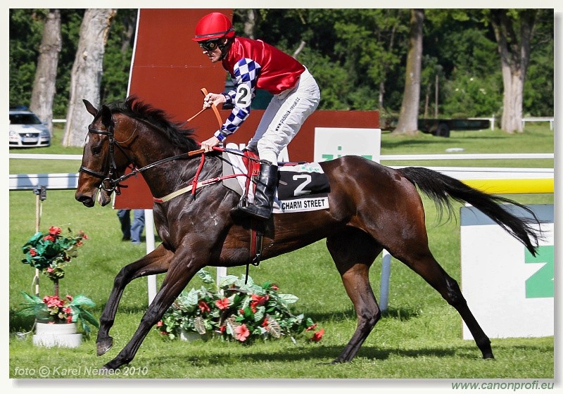 Bratislava - 06. jna 2010 