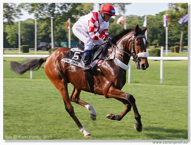 Bratislava - 06. jna 2010 