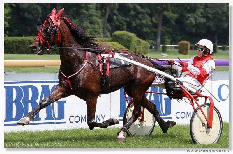 Bratislava - 13. jna 2010 