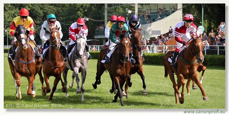 Bratislava - 13. jna 2010 