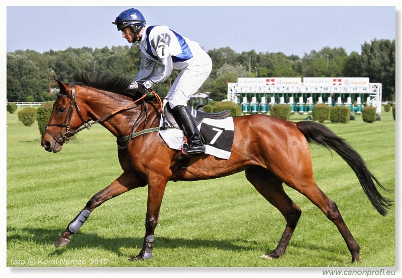 Bratislava - 13. jna 2010 