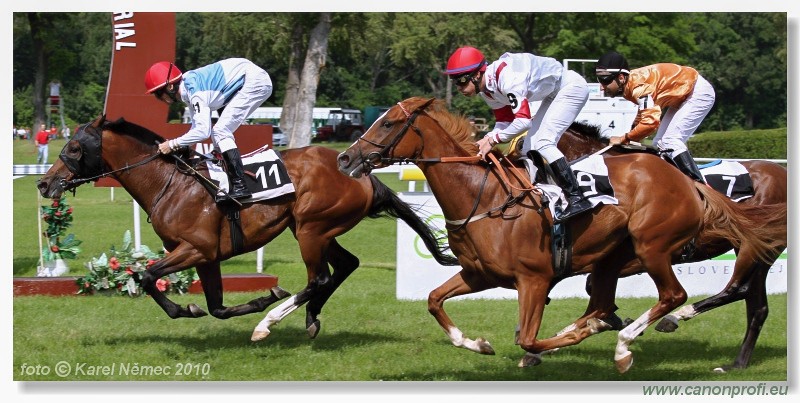 Bratislava - 26. jna 2010 