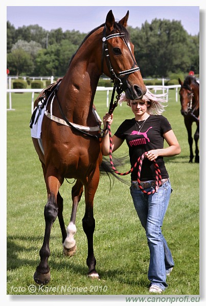 Bratislava - 26. jna 2010 