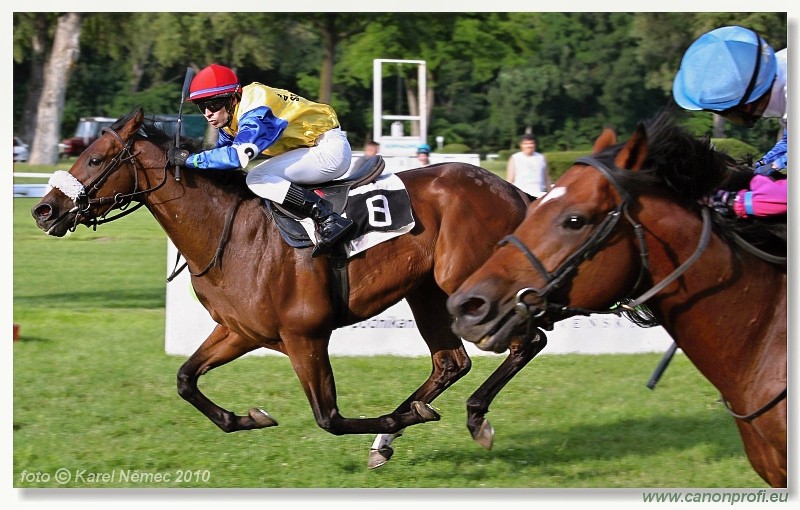 Bratislava - 26. jna 2010 