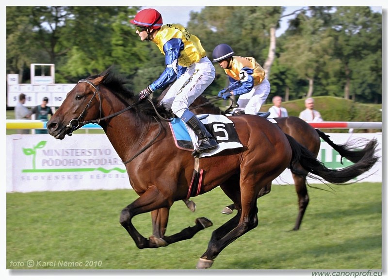 Bratislava - 26. jna 2010 