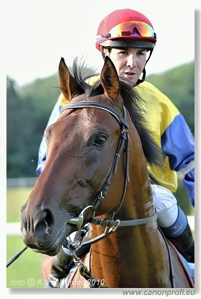 Bratislava - 26. jna 2010 