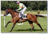 Derby-Trial 