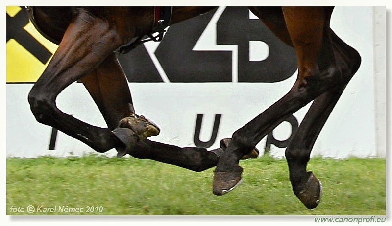 Bratislava - 18. jla 2010 