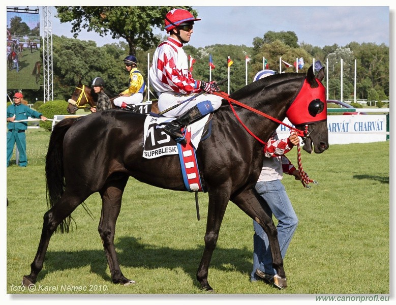 Bratislava - 18. jla 2010 