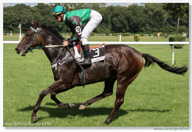 Bratislava - 14. augusta 2010 