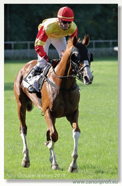 Bratislava - 14. augusta 2010 