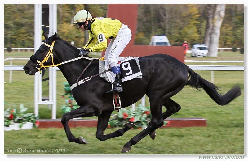 Bratislava - 31. oktbra 2010 