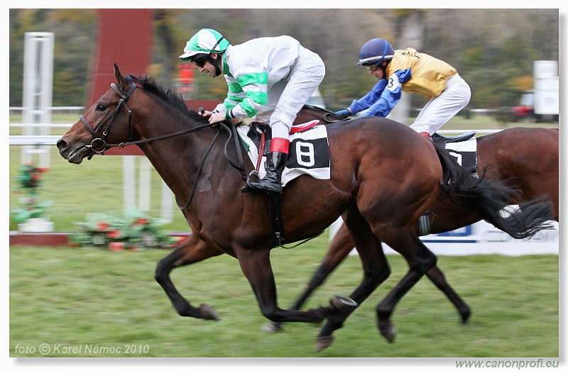 Bratislava - 31. oktbra 2010 