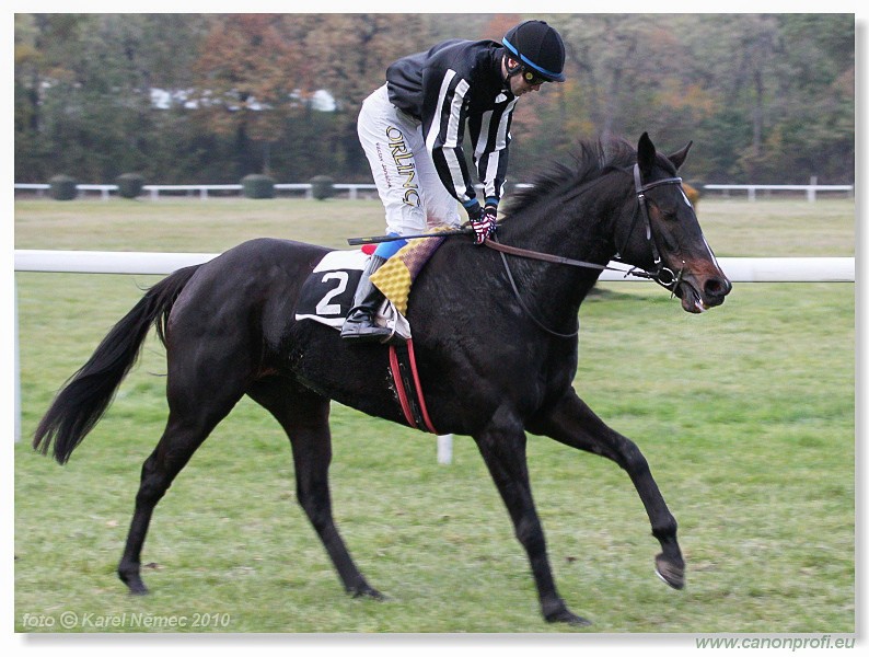 Bratislava - 31. oktbra 2010 