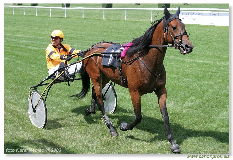 Bratislava - 06. júla 2003
