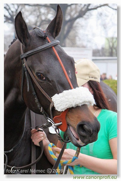 Bratislava - 05. aprla 2009 
